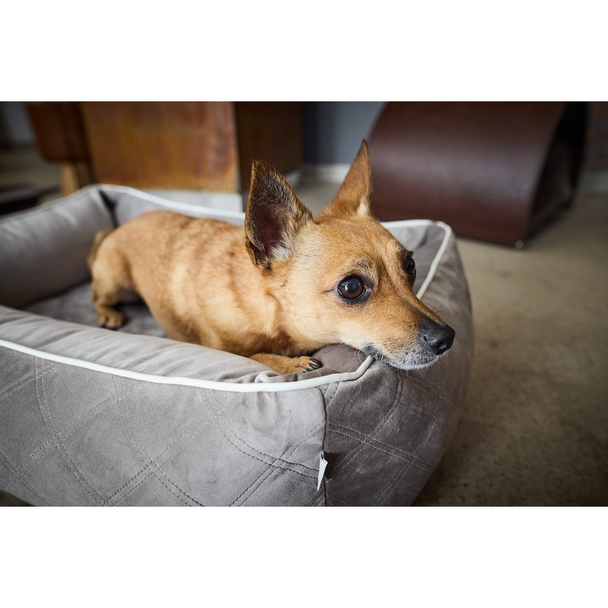 Laboni CLASSIC Hundebett - OXFORD TAUPE