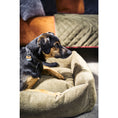 Bild in Galerie-Betrachter laden, Laboni CLASSIC Hundebett - TUDOR OLIVE
