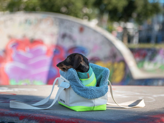 THE CANVAS BAG - HUNDETRAGETASCHE FÜR KLEINE HUNDERASSEN