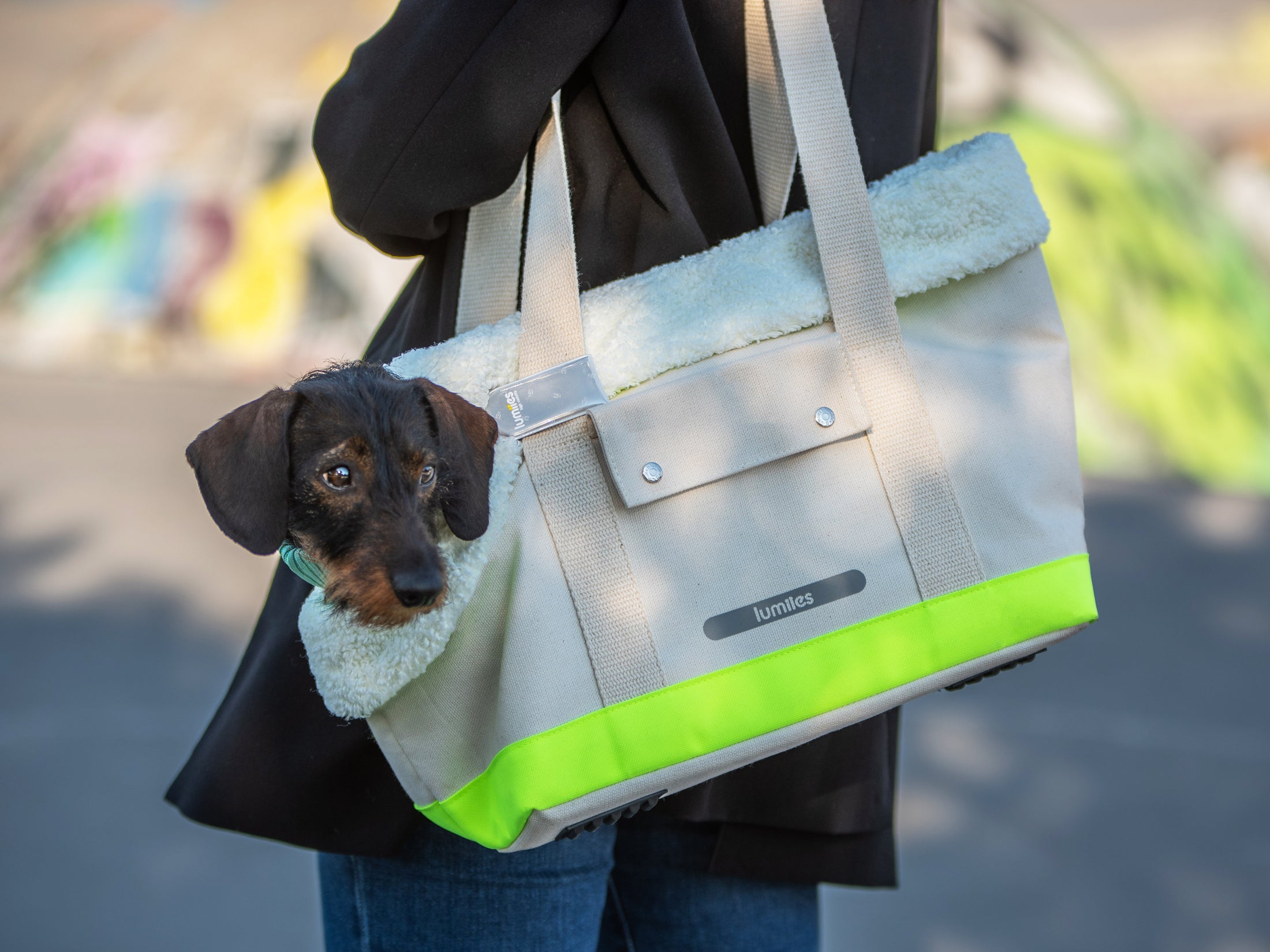 THE CANVAS BAG (HUNDETRAGETASCHE FÜR KLEINE HUNDERASSEN)