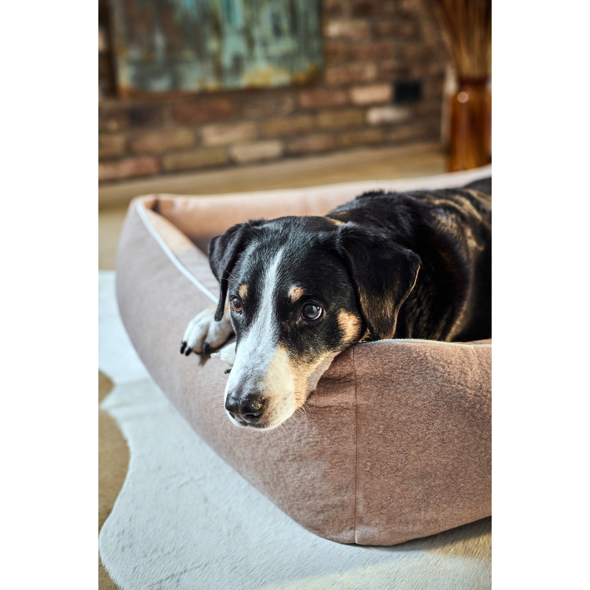 LABONI CLASSIC Hundebett - BUFFALO CREME