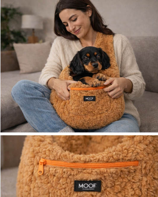MOOF Schleife Teddy Loop – Hundetragetasche für kleine Hunde
