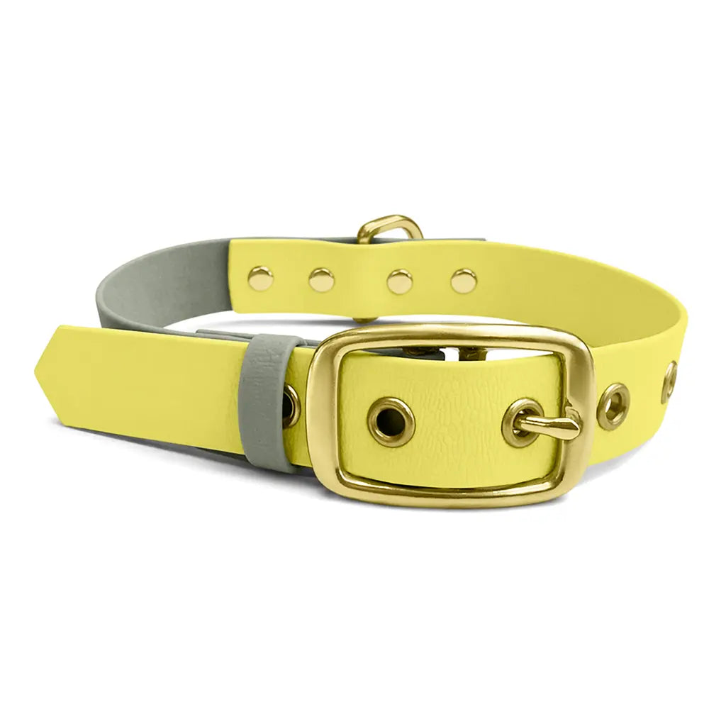 Hey Lana Outdoor Hundehalsband FLEX – wasserfest & robust