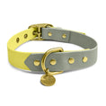 Bild in Galerie-Betrachter laden, Hey Lana Outdoor Hundehalsband FLEX – wasserfest & robust
