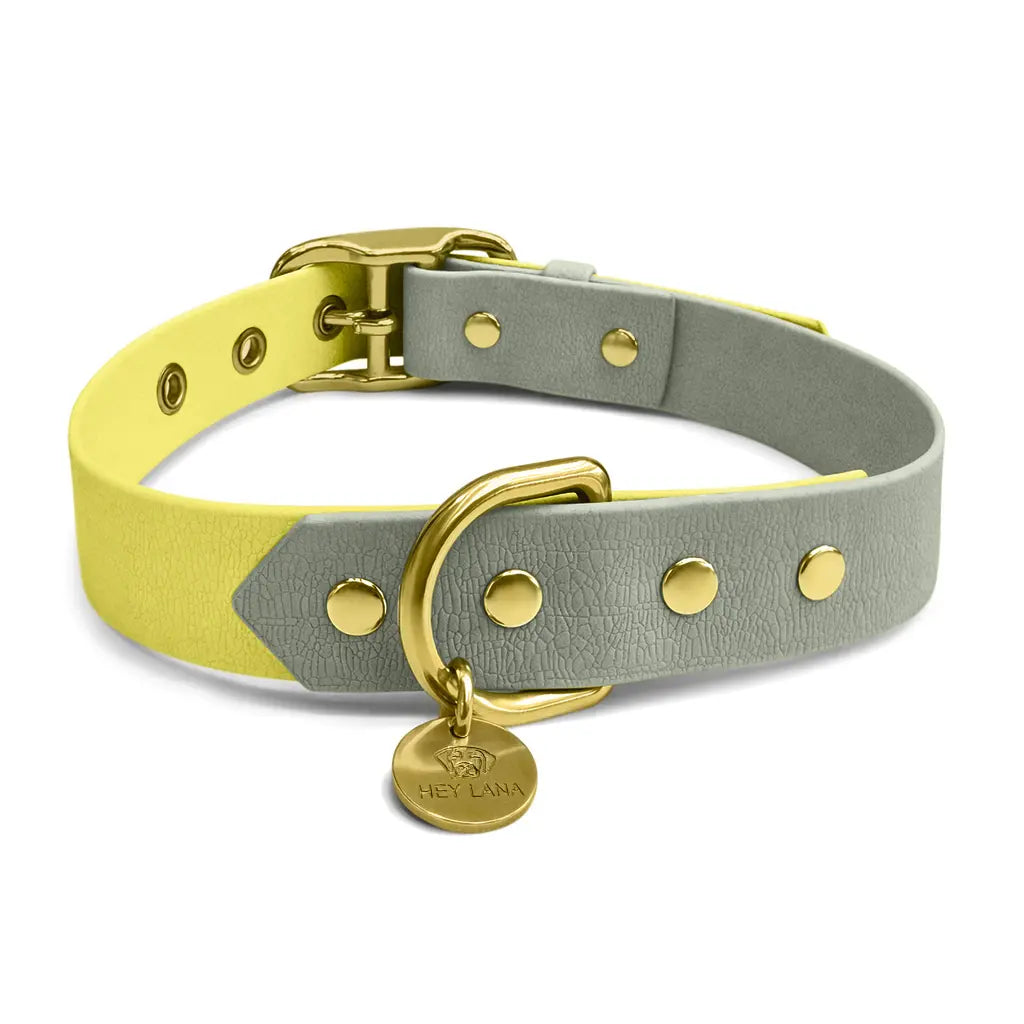 Hey Lana Outdoor Hundehalsband FLEX – wasserfest & robust
