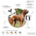 Bild in Galerie-Betrachter laden, Hey Lana FLEX Outdoor Geschirr – 5-fach verstellbares H-Geschirr mit Haltegriff, Lemon/Seagrass
