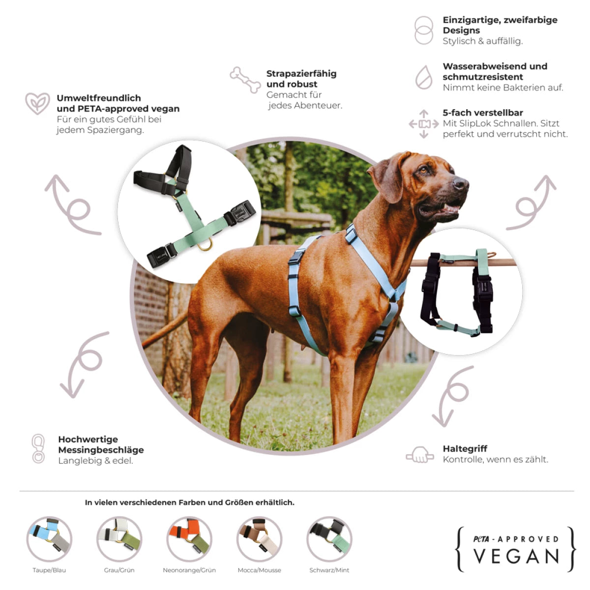 Hey Lana FLEX Outdoor Geschirr – 5-fach verstellbares H-Geschirr mit Haltegriff, Lemon/Seagrass