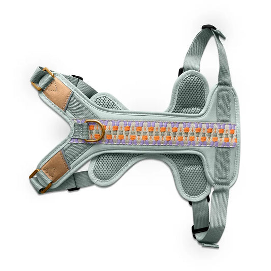 hey-lana-hundegeschirr-tres-chic-eukalyptus-orange