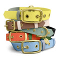 Bild in Galerie-Betrachter laden, Hey Lana Outdoor Hundehalsband FLEX – wasserfest & robust
