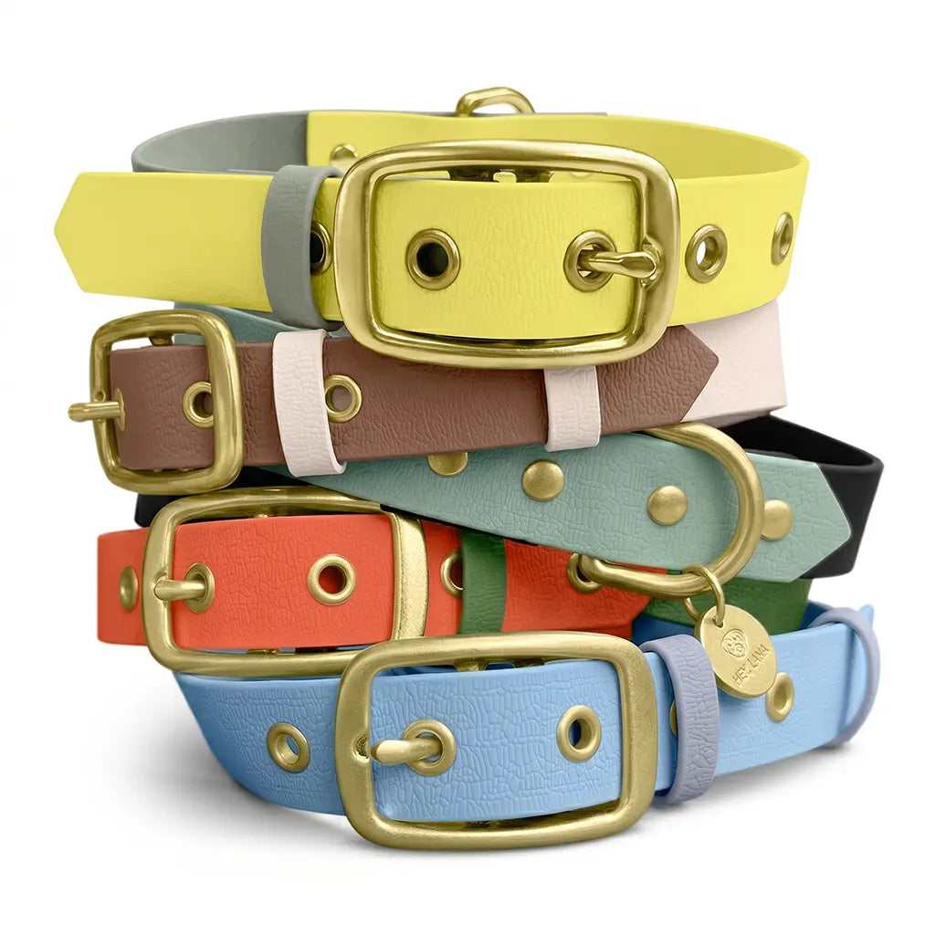 Hey Lana Outdoor Hundehalsband FLEX – wasserfest & robust