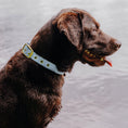 Bild in Galerie-Betrachter laden, Hey Lana Outdoor Hundehalsband FLEX – wasserfest & robust
