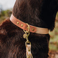 Bild in Galerie-Betrachter laden, Hey Lana Outdoor Hundehalsband FLEX – wasserfest & robust
