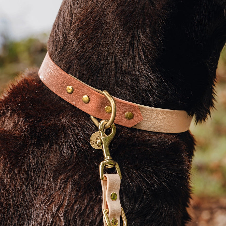 Hey Lana Outdoor Hundehalsband FLEX – wasserfest & robust