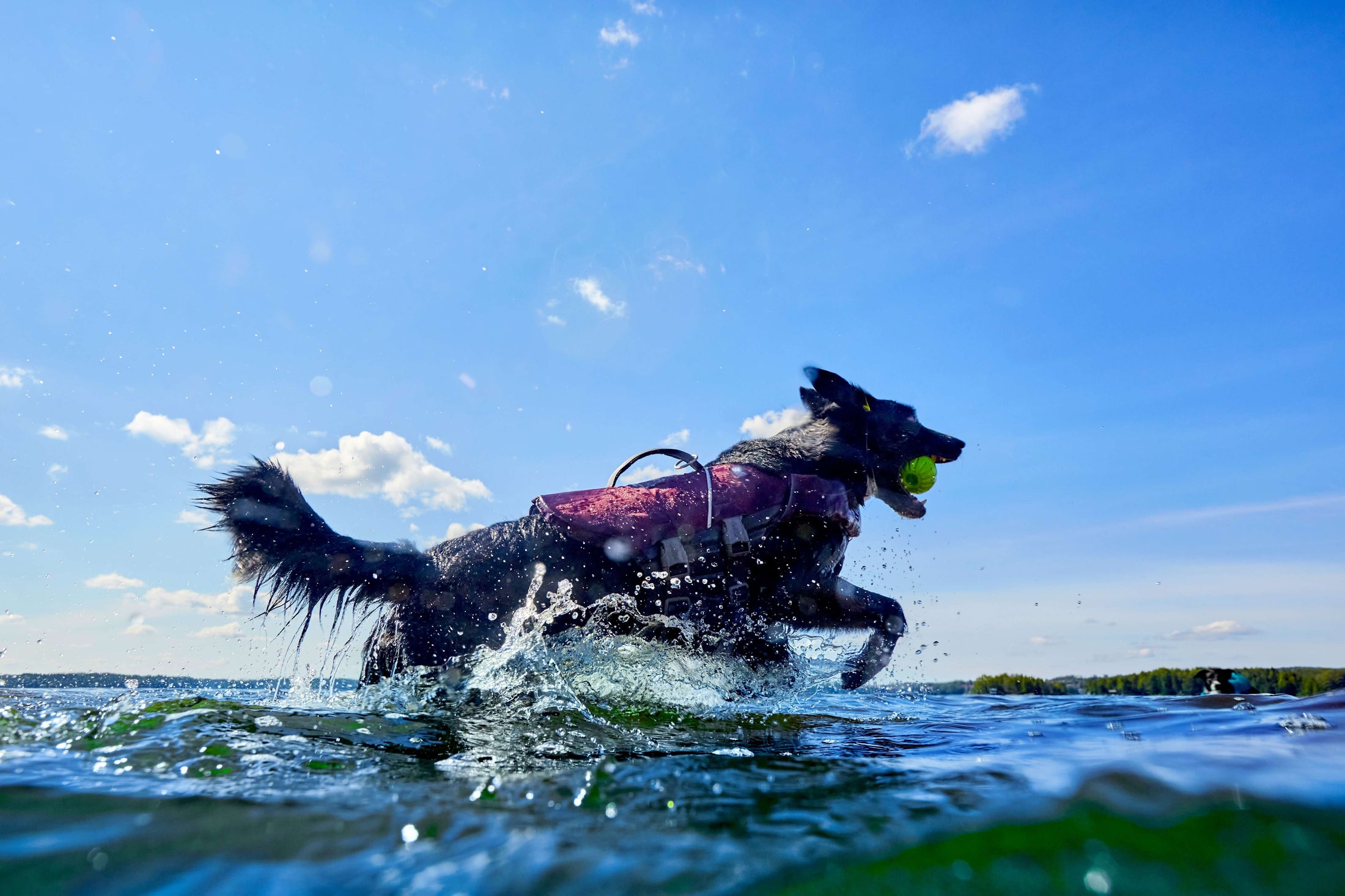 Hurtta Life Savior ECO Schwimmweste für Hunde
