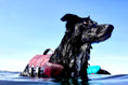 Bild in Galerie-Betrachter laden, Hurtta Life Savior ECO Schwimmweste für Hunde
