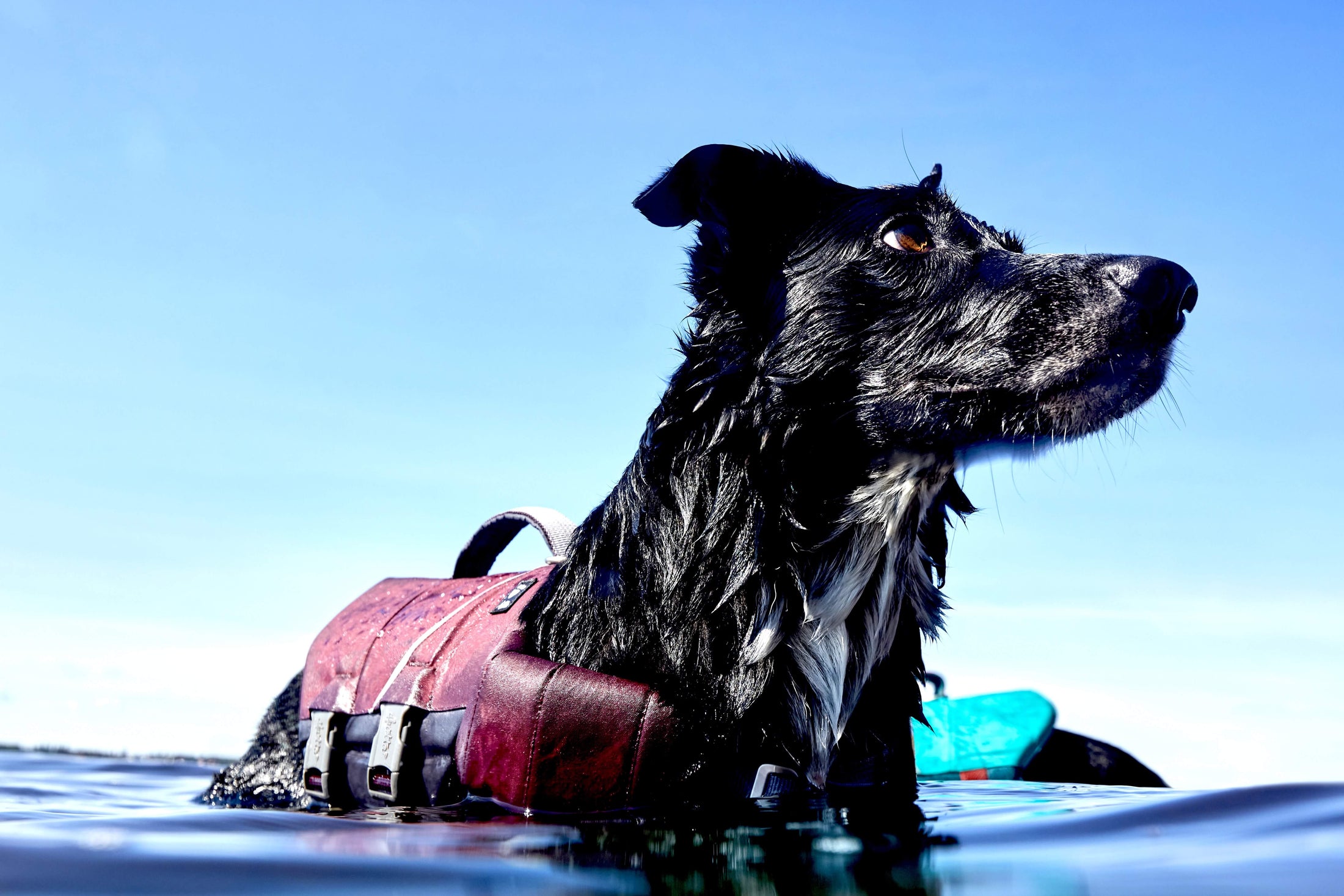 Hurtta Life Savior ECO Schwimmweste für Hunde