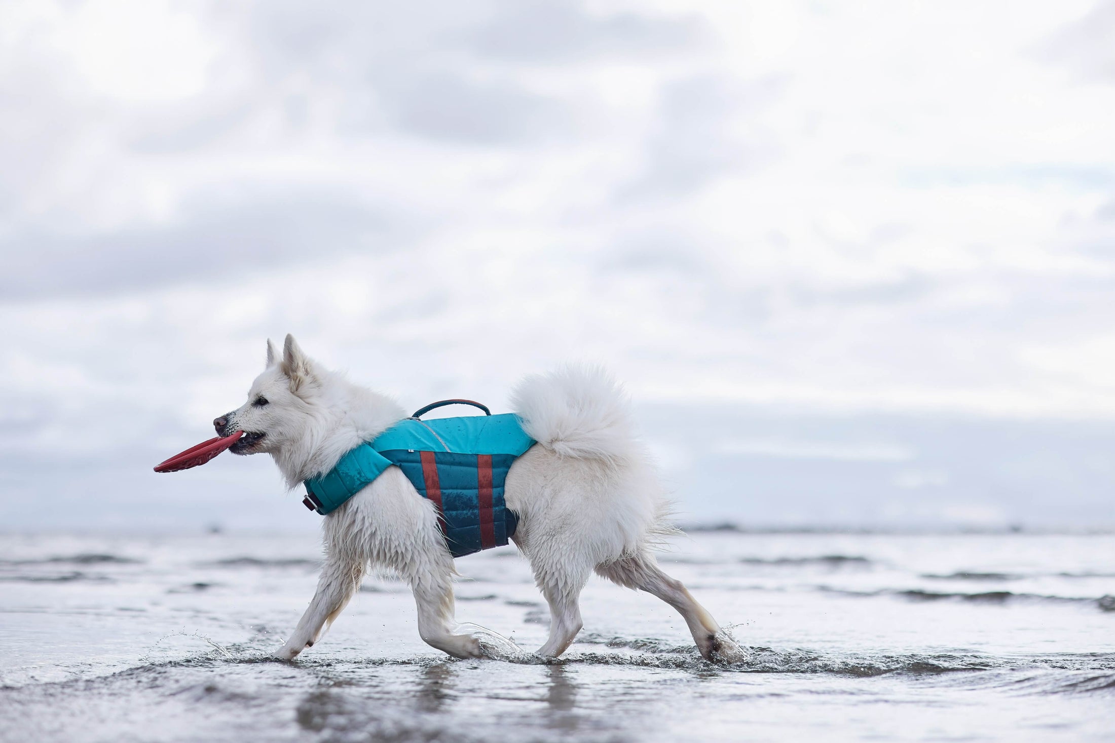 Hurtta Life Savior ECO Schwimmweste für Hunde