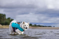 Bild in Galerie-Betrachter laden, Hurtta Life Savior ECO Schwimmweste für Hunde
