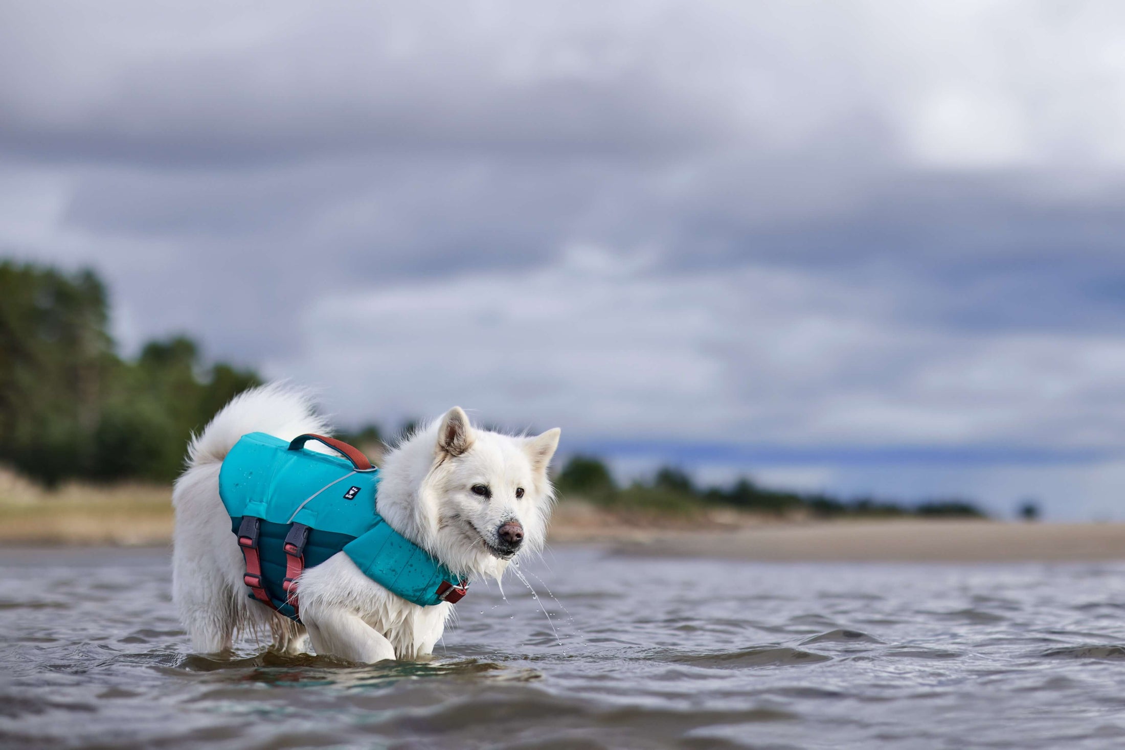 Hurtta Life Savior ECO Schwimmweste für Hunde