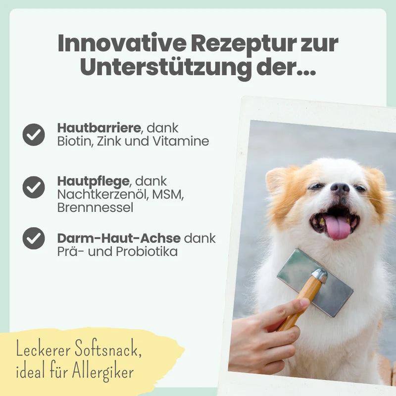 noms+ Haut & Fell Komplex für Hunde | ecopetique