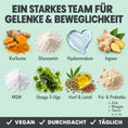 Bild in Galerie-Betrachter laden, noms+ Gelenk-Komplex für Hunde | ecopetique
