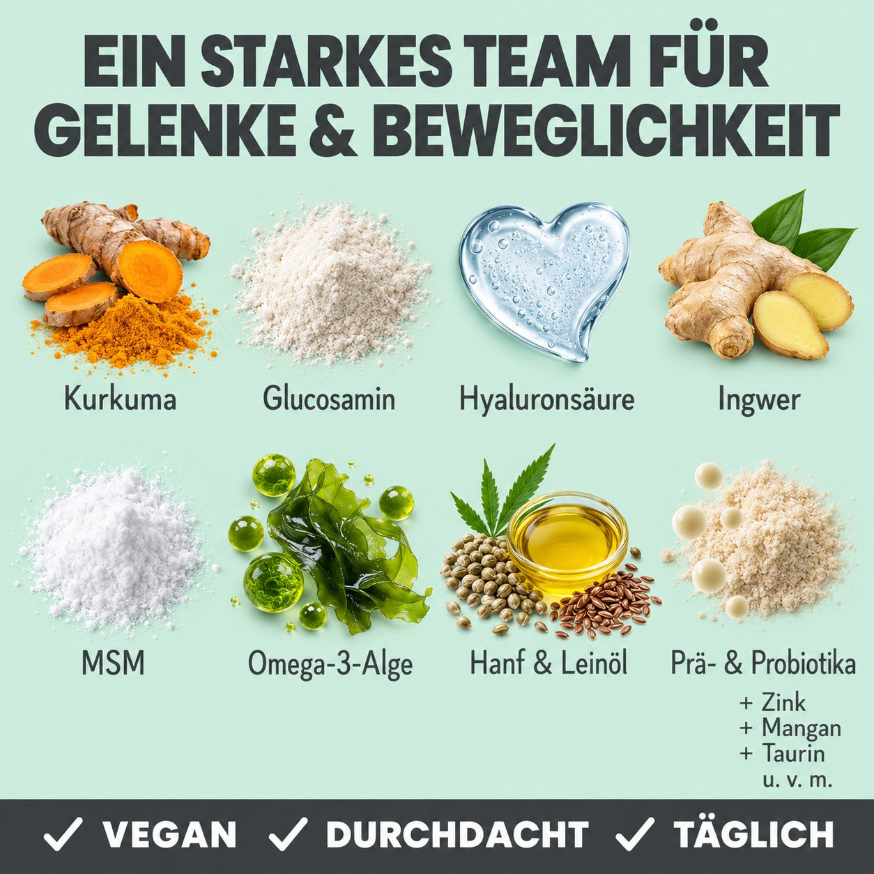 noms+ Gelenk-Komplex für Hunde | ecopetique