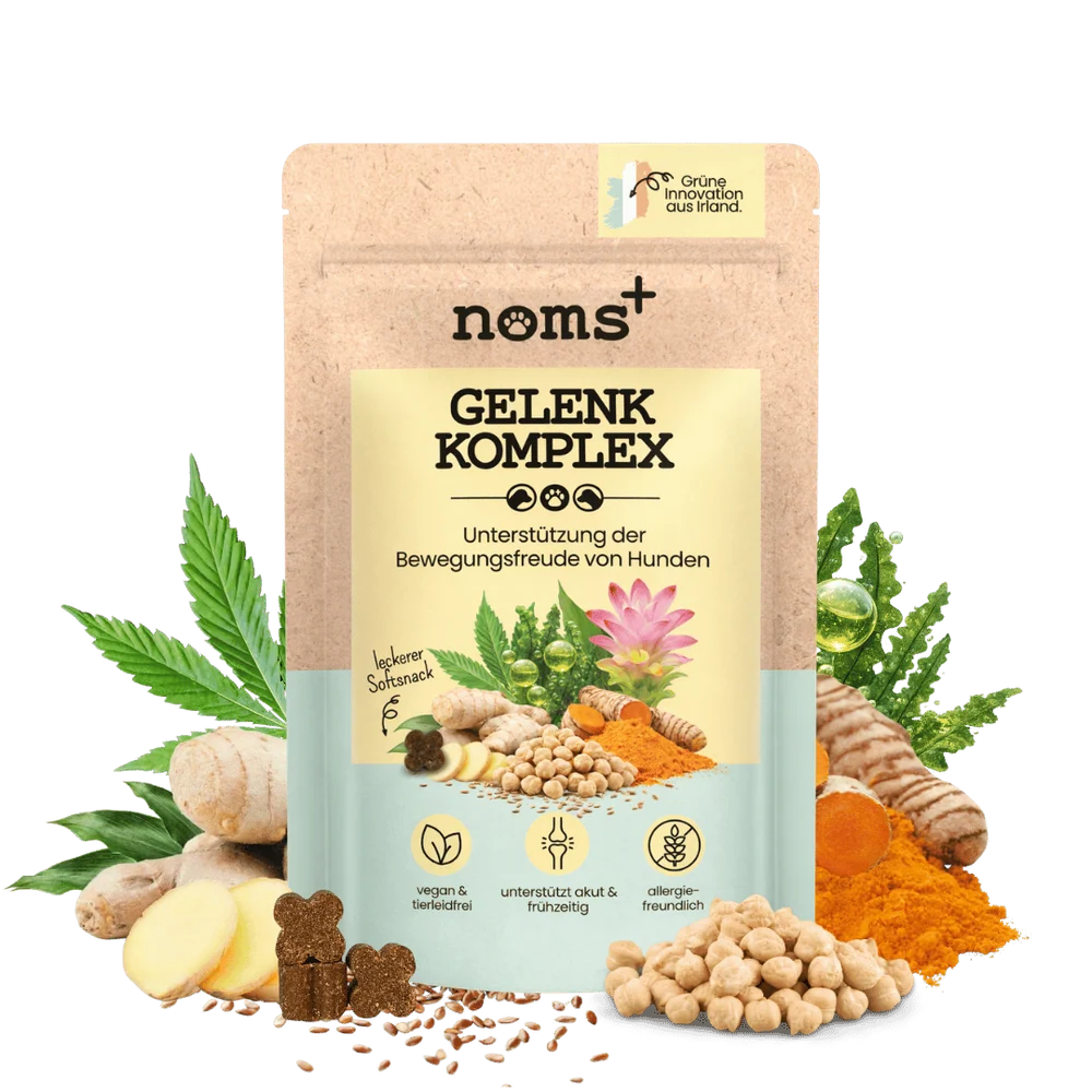 noms+ Gelenk-Komplex für Hunde | ecopetique