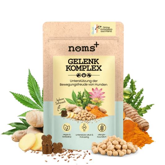 noms+ Gelenk-Komplex für Hunde | ecopetique