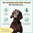 Bild in Galerie-Betrachter laden, noms+ Gelenk-Komplex für Hunde | ecopetique
