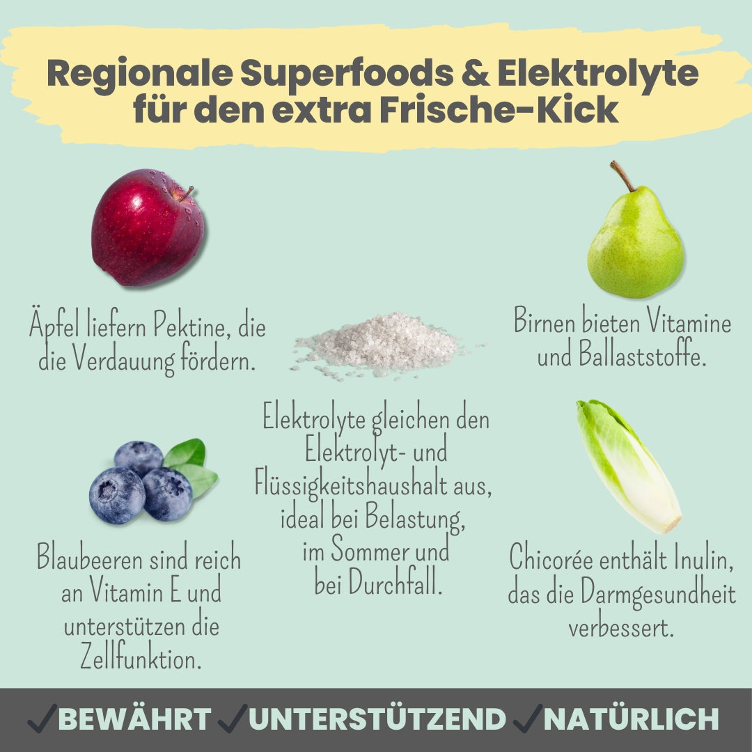 noms+ Hunde Smoothie-Bowl – fruchtiger Elektrolyt-Booster 200g