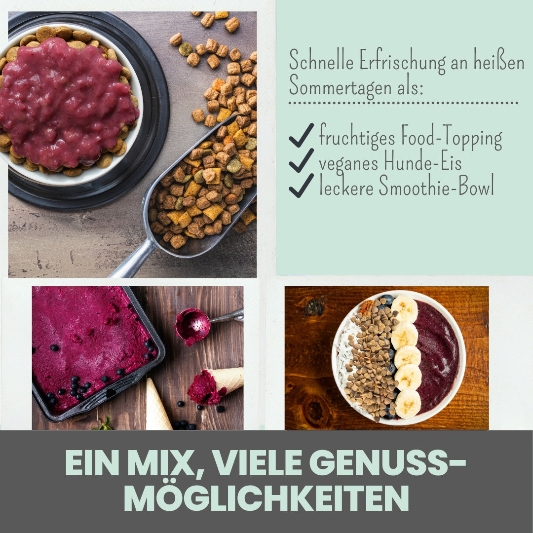 noms+ Hunde Smoothie-Bowl – fruchtiger Elektrolyt-Booster 200g