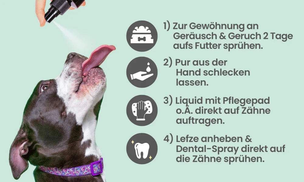 Dentalspray bei Zahnstein für Hunde & Katzen