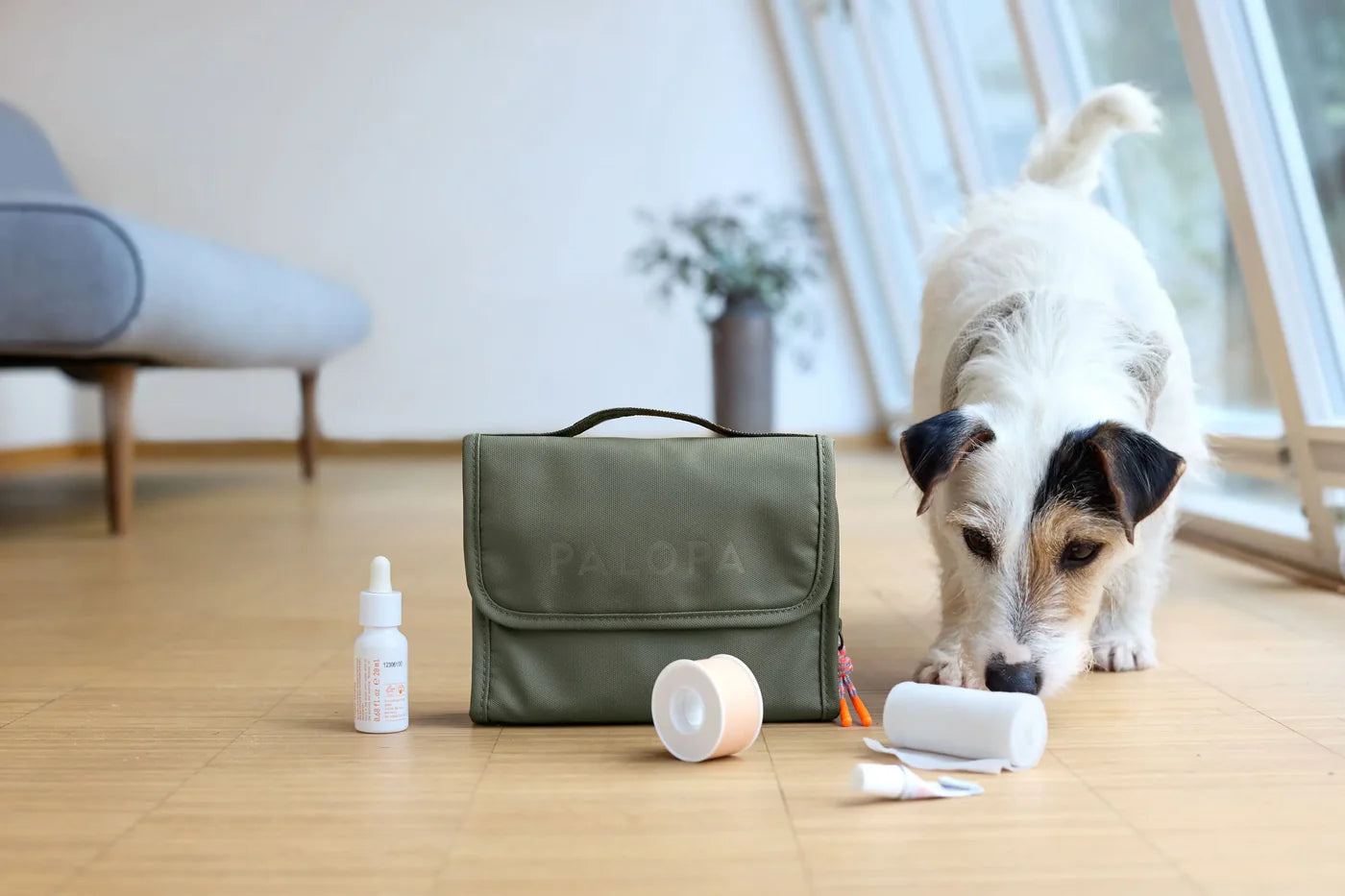 PALOPA Hunde Erste-Hilfe-Set - Bano