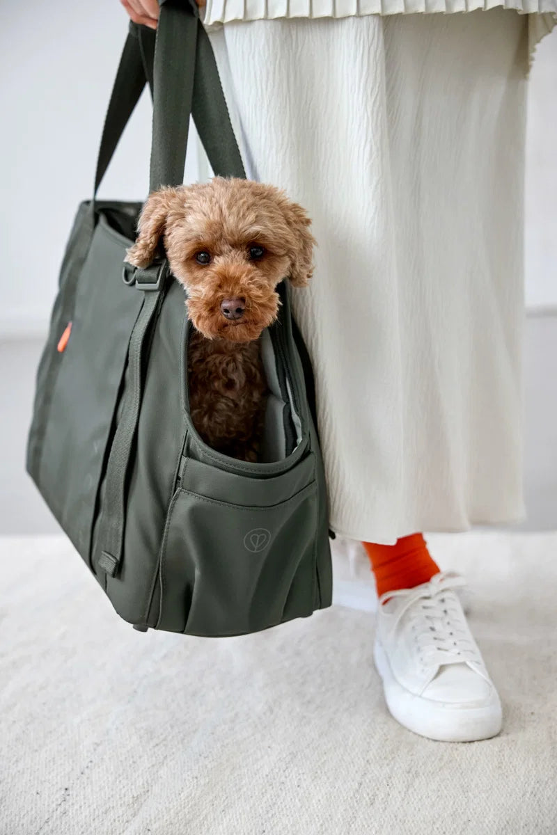 PALOPA Hundetragetasche - Weda