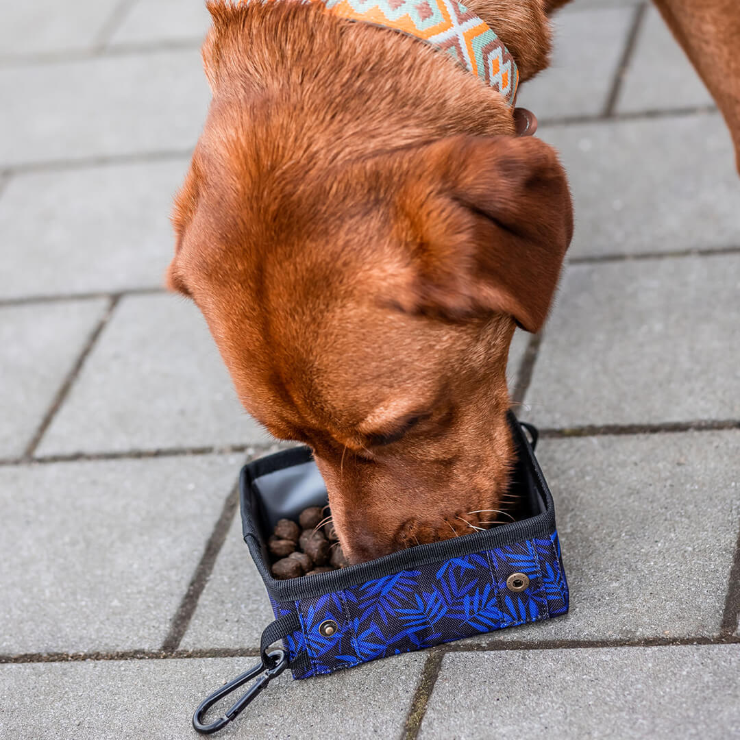hunde trockenfutter lamm Lamm Premium Trockenfutter