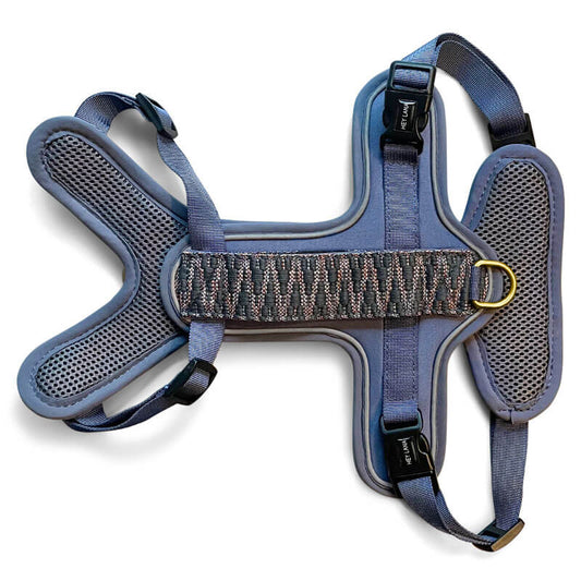Kollektion Très chic – Set Hundehalsband, Leine und Geschirr – Blau/Grau