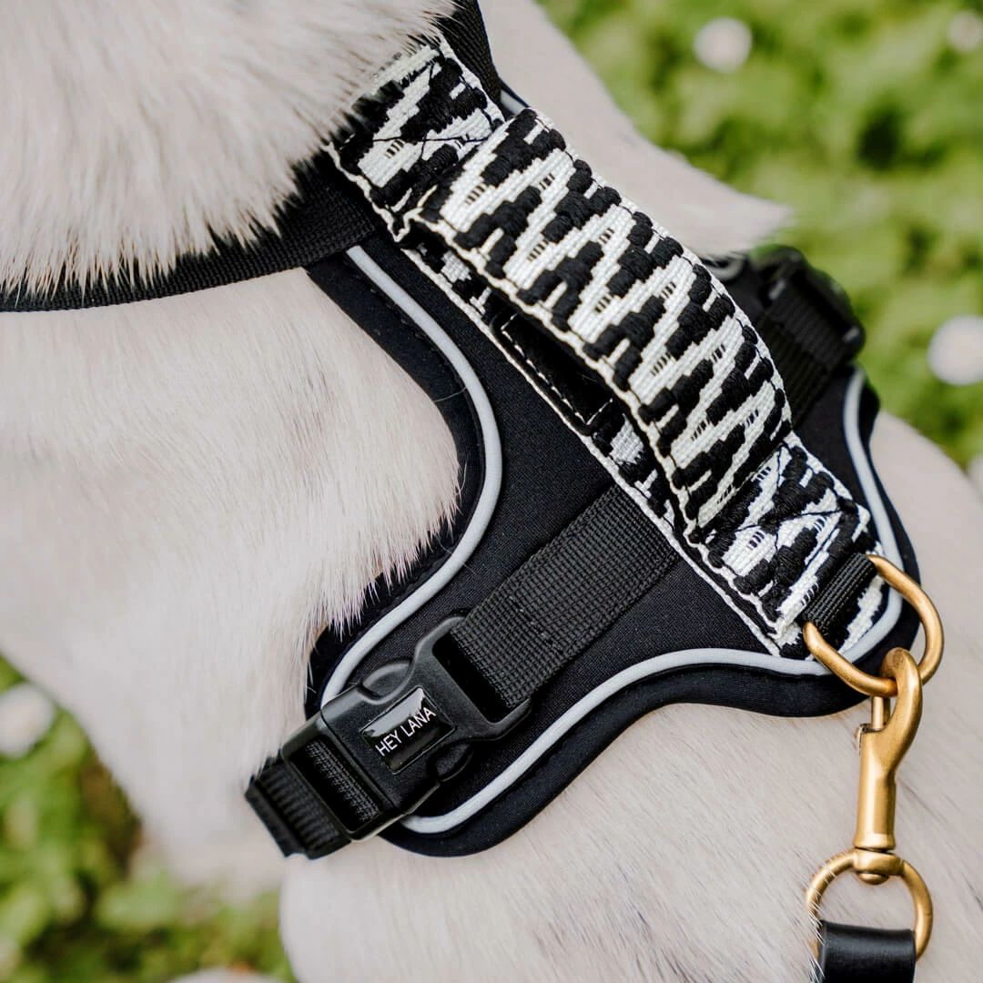 Premium Hundegeschirr Gepolstert – Schwarz/Weiss