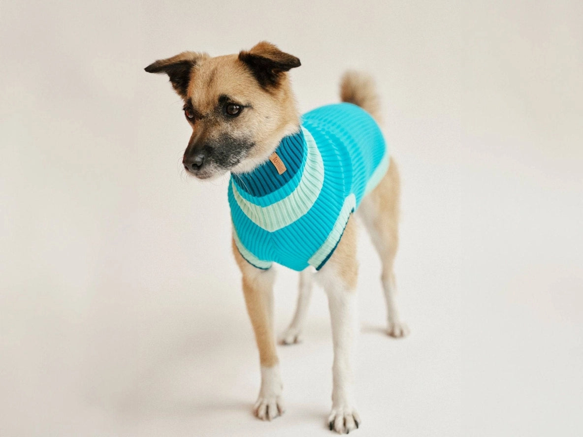 THE GLOW JUMPER von LUMIIES® 2.0 - HOCHELASTISCHER NEON HUNDEPULLOVER
