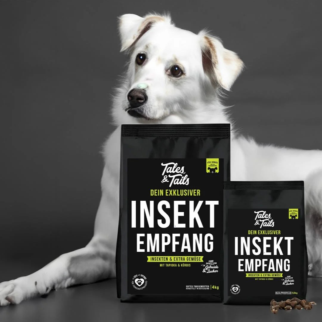 InSektempfang - 1,5kg