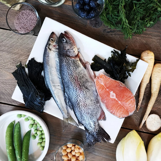 Noch ganz Fisch im Kopp? - Softes Trockenfutter mit Fisch -  4.0 KG