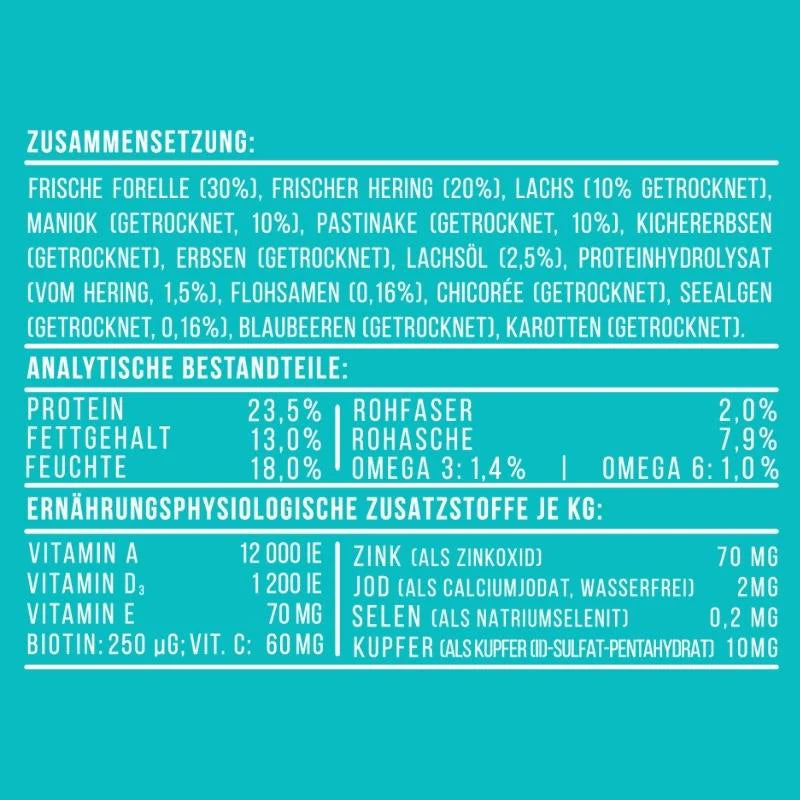 Noch ganz Fisch im Kopp? - 4kg