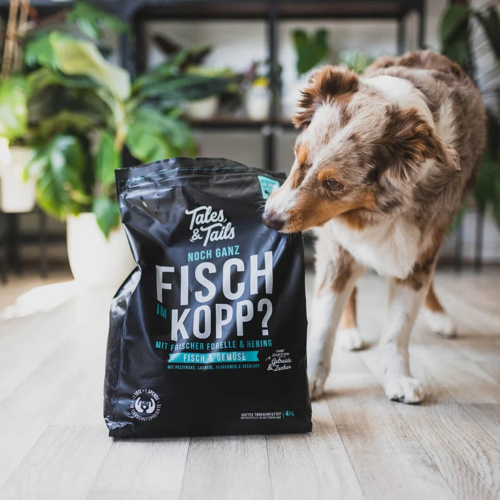 Noch ganz Fisch im Kopp? - 4kg