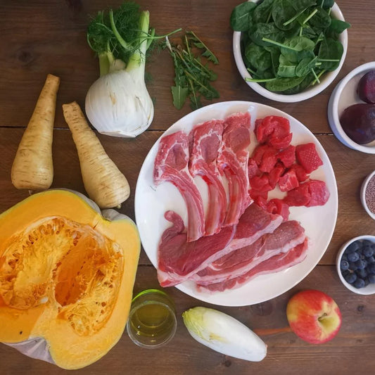 Auf der PHirsch - Nassfutter für Hunde mit 75% Hirsch