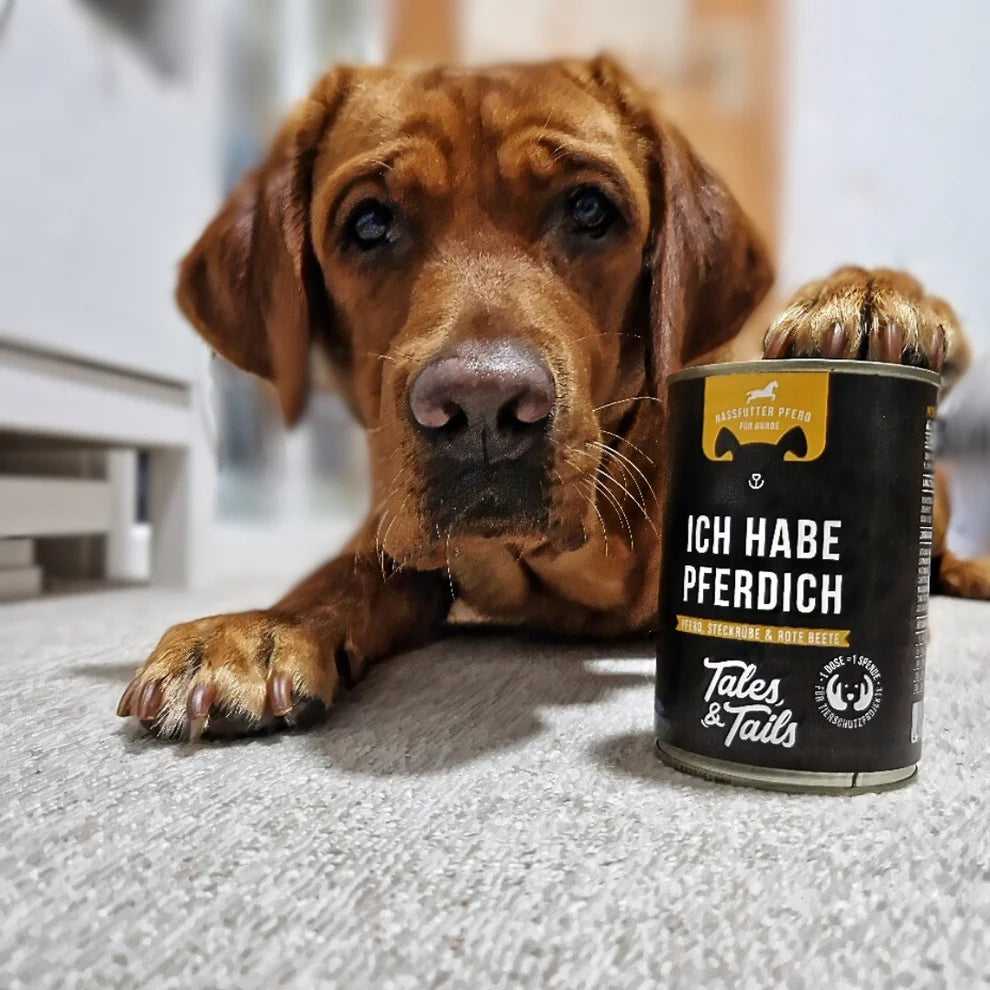 Nassfutter für Hunde