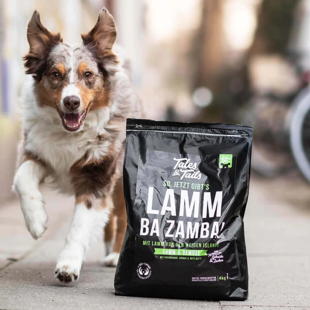 LammBa Zamba! - 4,0 KG