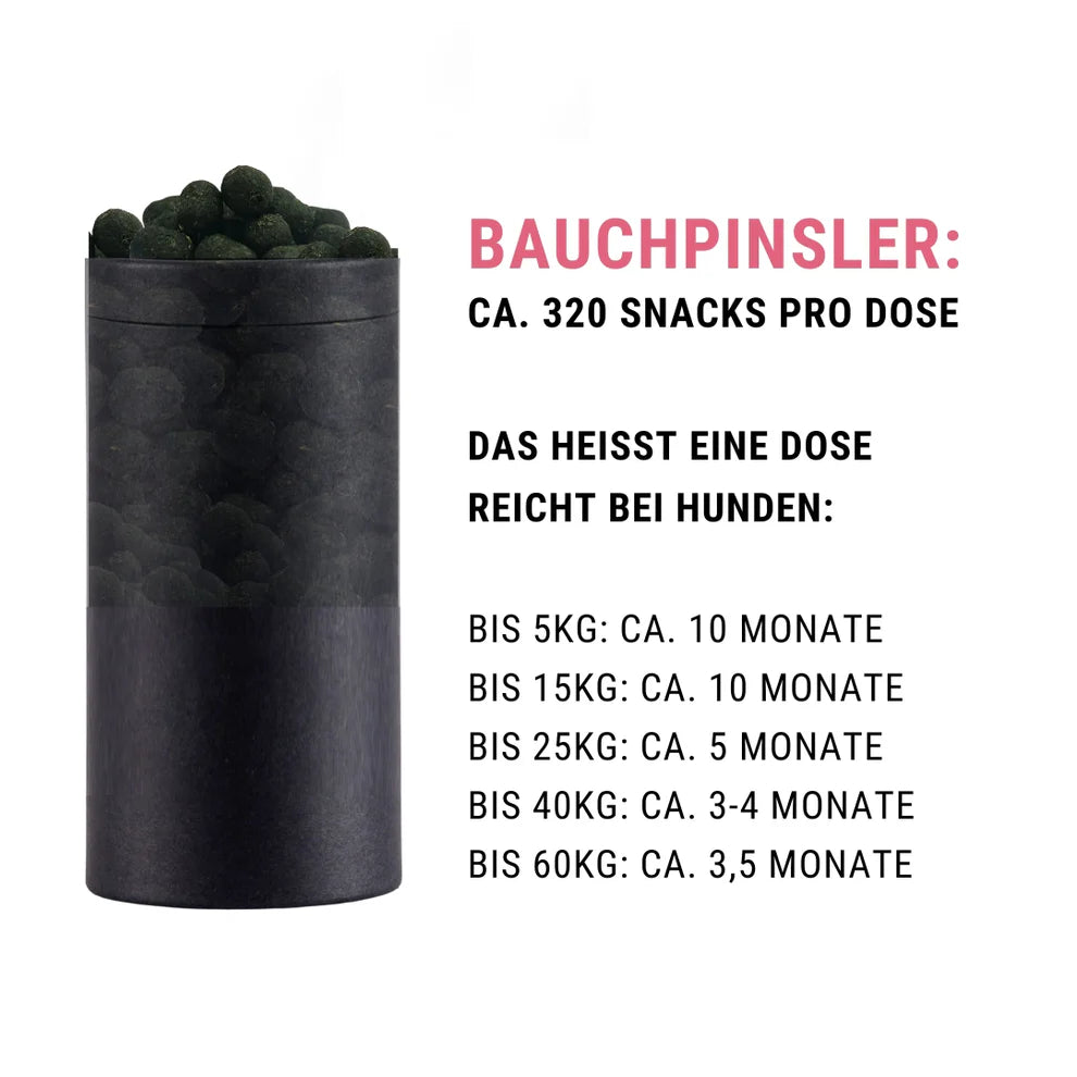 Bauchpinsler