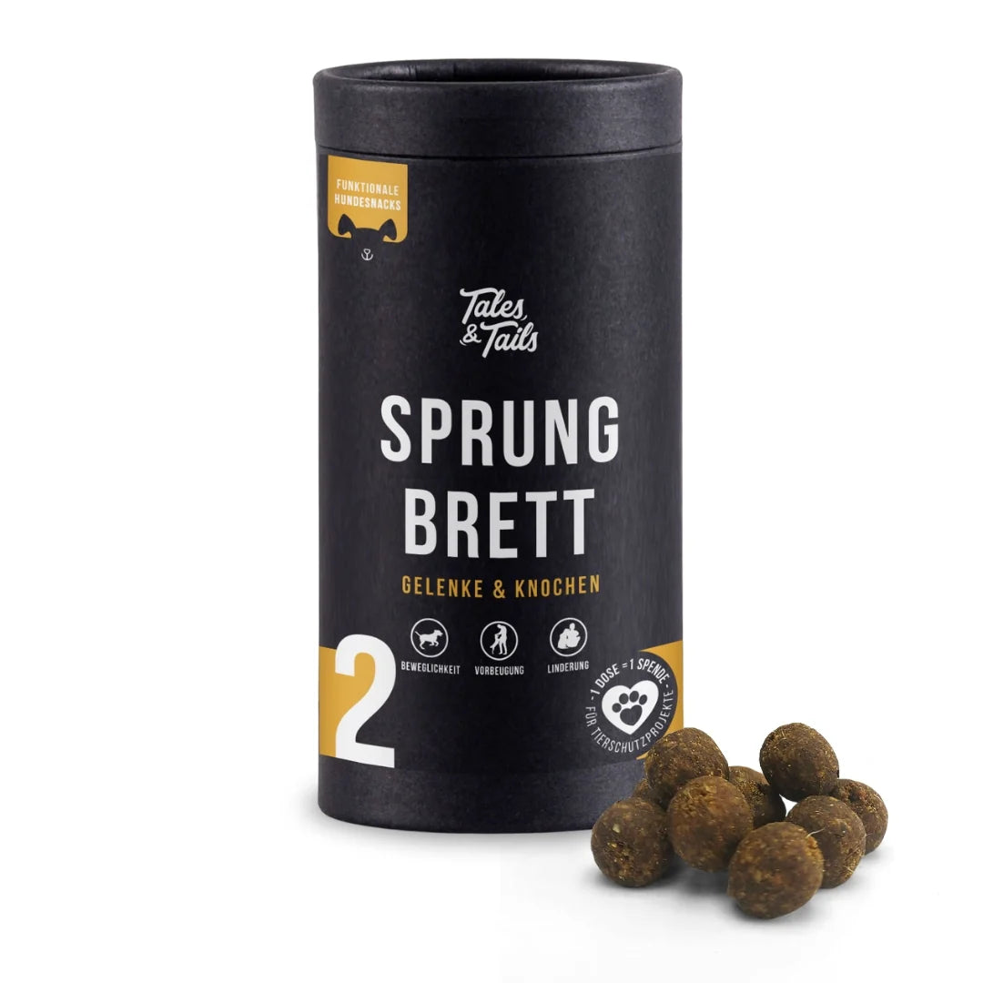 Sprungbrett