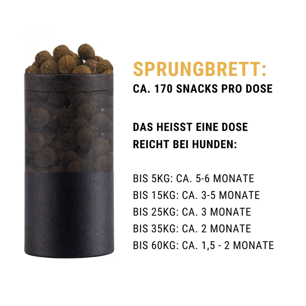 Sprungbrett