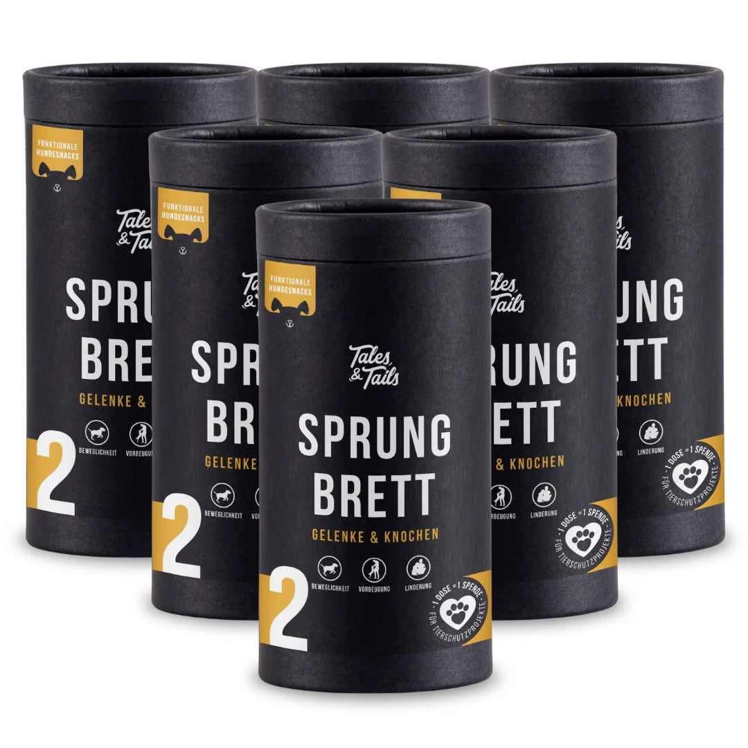 Sprungbrett