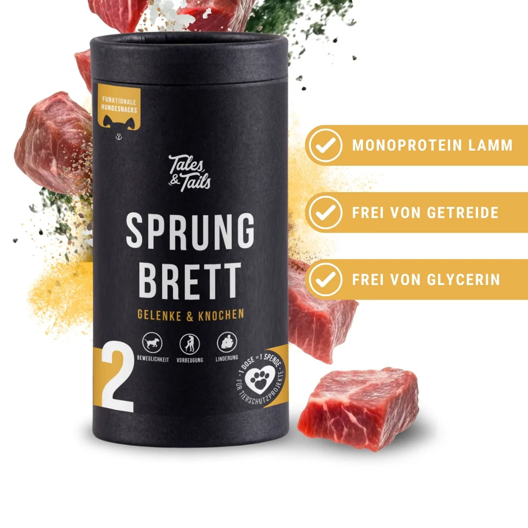 Sprungbrett